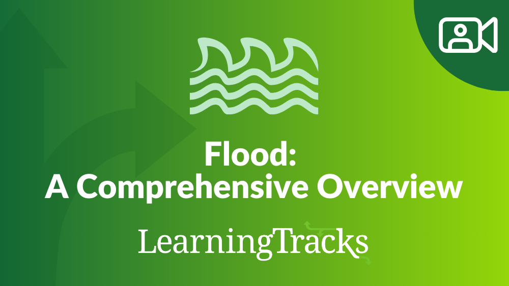 Flood: A Comprehensive Overview